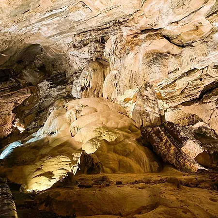 Lady Lavender By Interhome